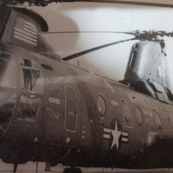 Meet your Posher, Dana - Picture 1 of 1